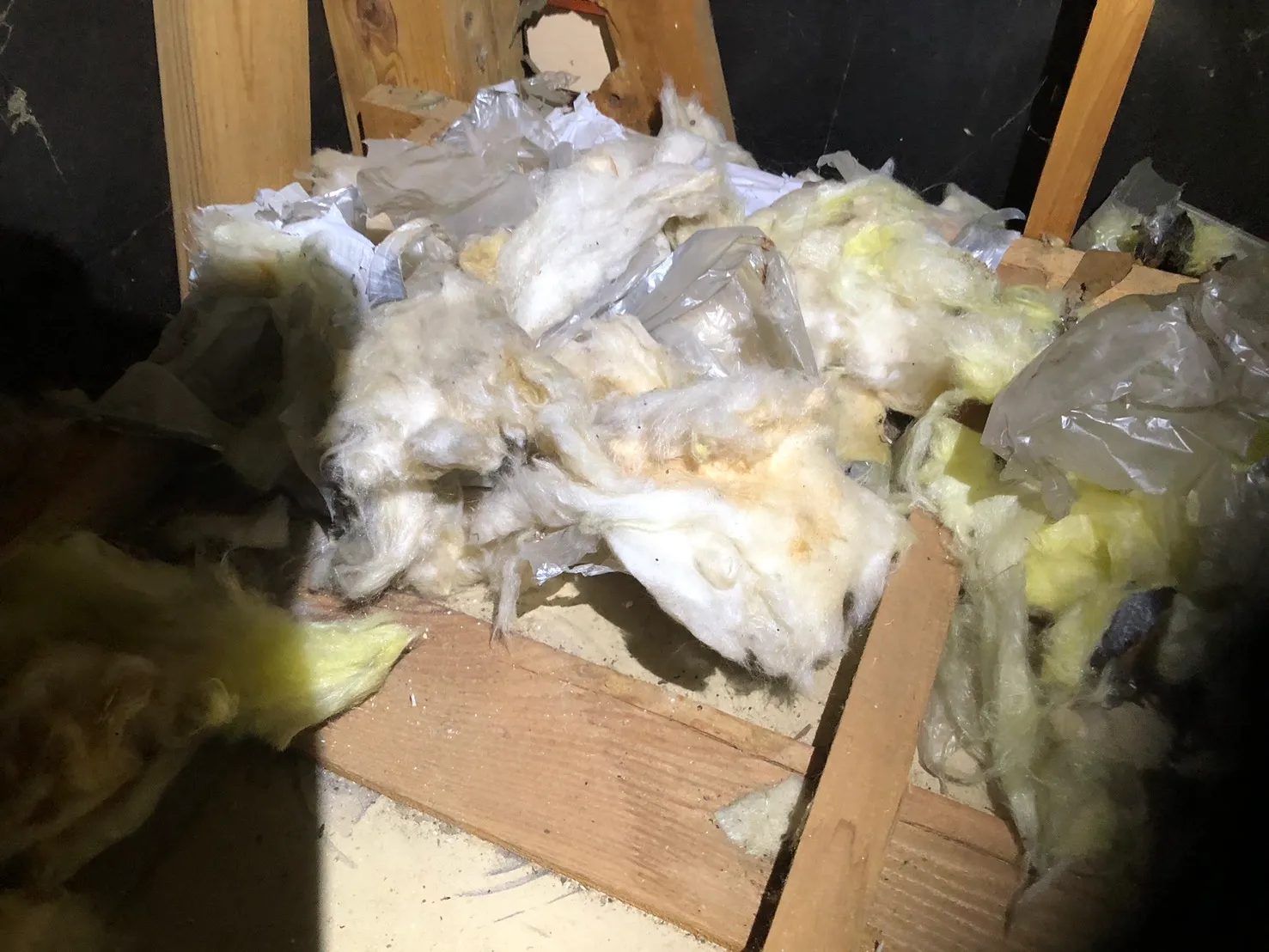 茨城県筑西市｜瓦屋根の死角から侵入したハクビシンを捕獲！屋根裏の「獣の巣」撤去と瓦隙間の完全封鎖工事