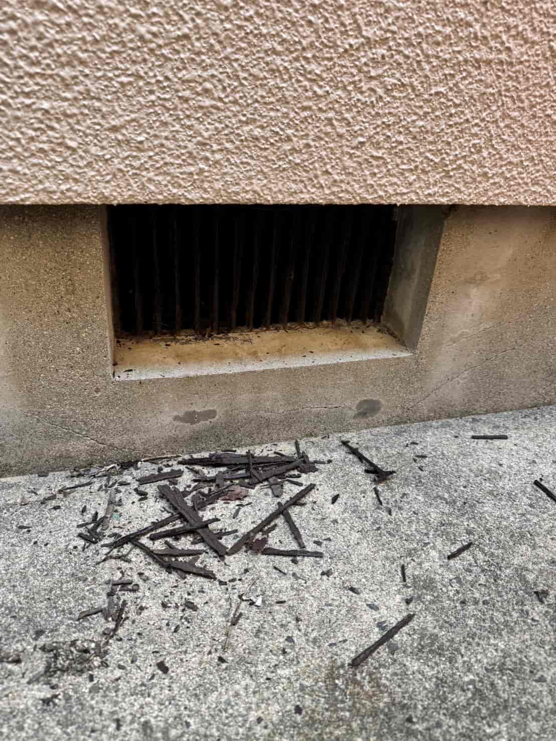 島根県松江市｜屋根裏を駆除・封鎖で一網打尽。イタチとネズミの「多層侵入」を断つ精密封鎖と衛生クリーンアップ録