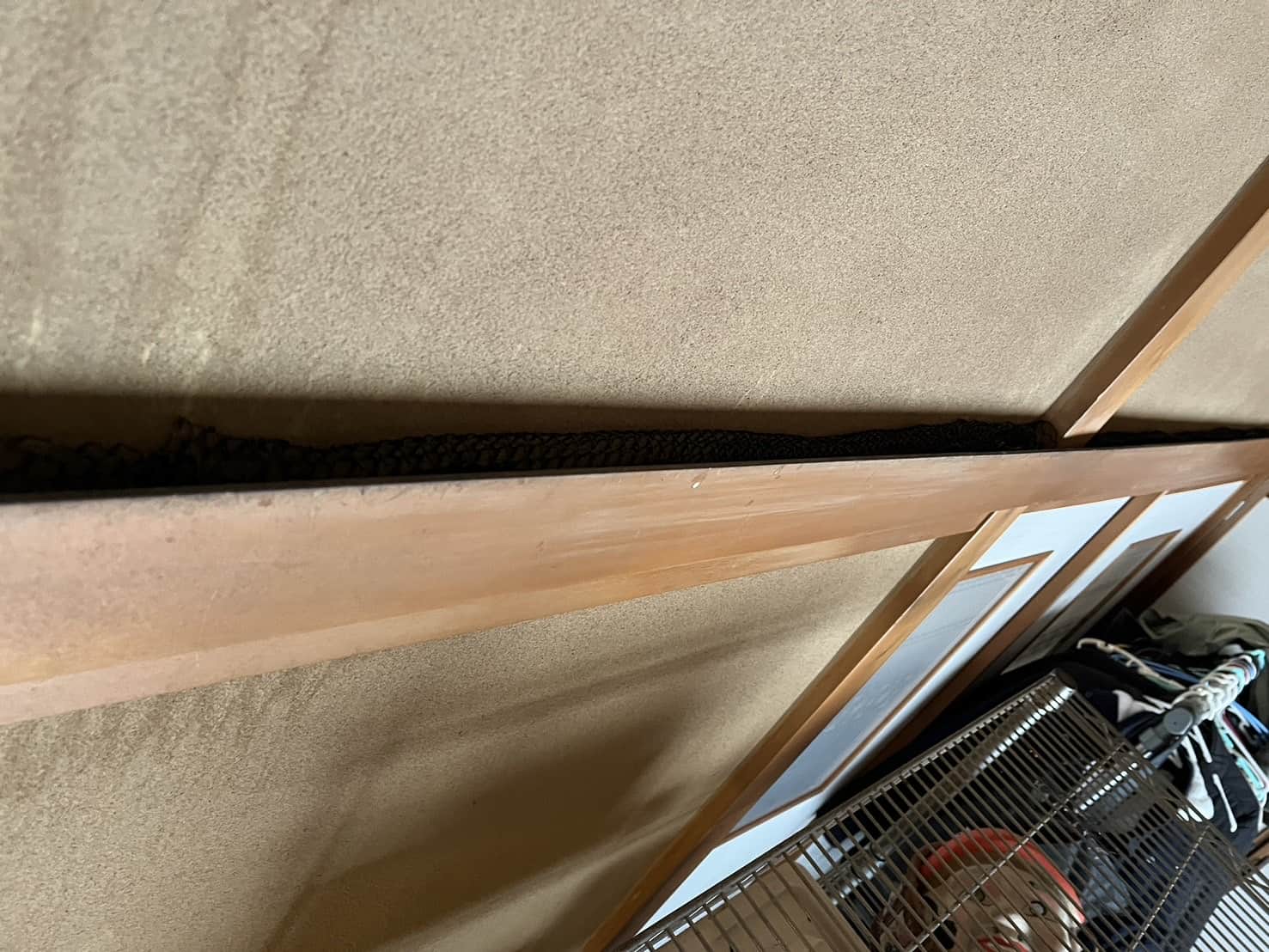 埼玉県さいたま市｜壁の隙間を突くネズミの侵入経路を特定し、安全性の高い薬剤と物理的封鎖で完遂した徹底防除録