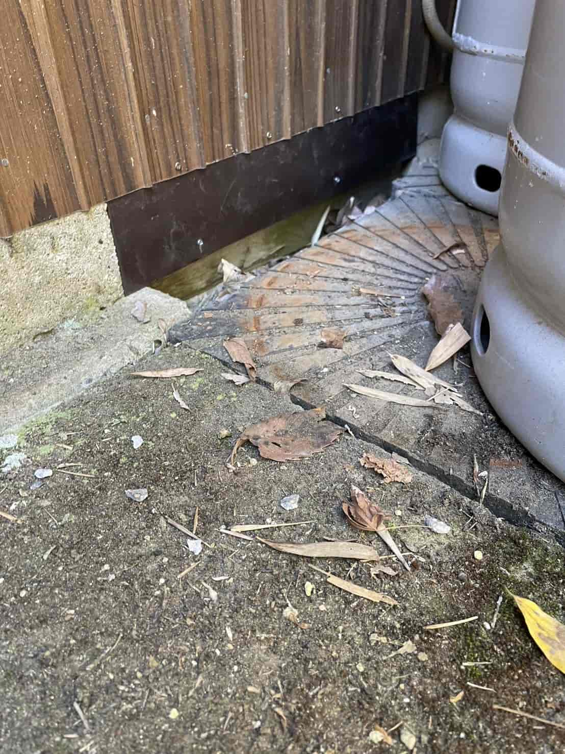 千葉県市原市｜軒天から床下まで「侵入ルートの百貨店」を封鎖。精密板金加工とステンレス金網でハクビシン・イタチを完全シャットアウト