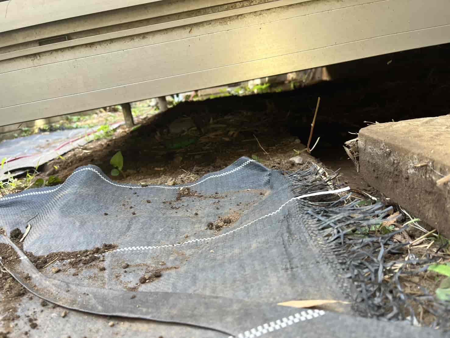 千葉県柏市｜サンルーム下の「見えない恐怖」を遮断。ハクビシンの再来を許さない精密板金封鎖と徹底消毒による安心の奪還録