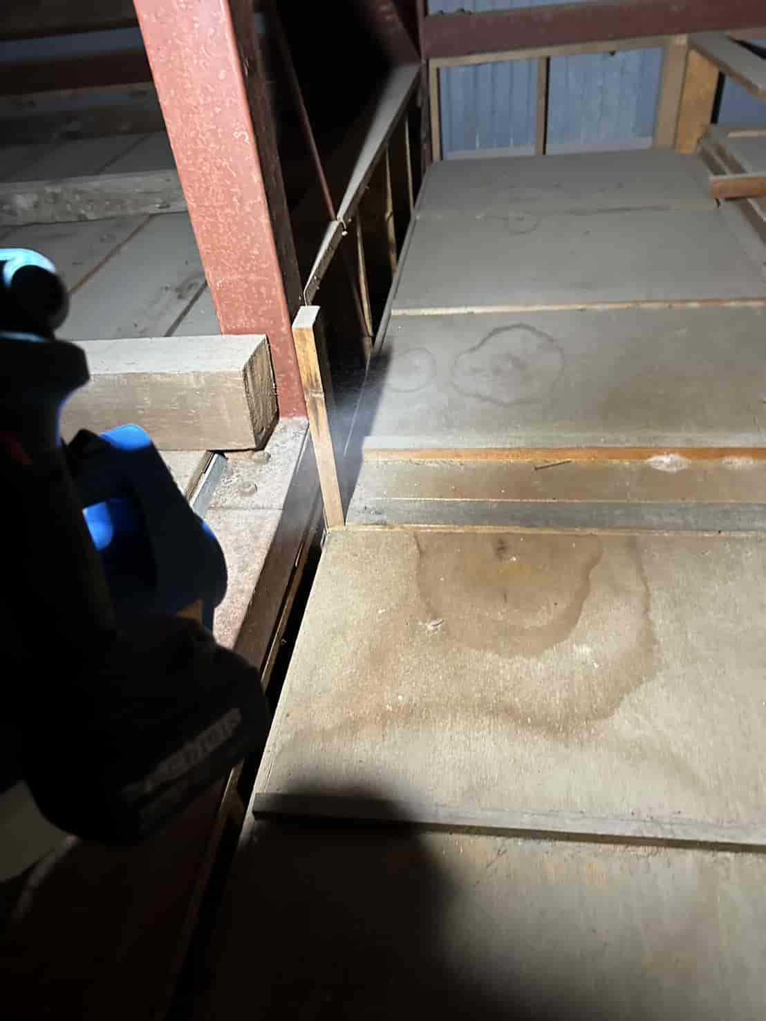 徳島県阿南市｜深夜の「カリカリ音」を封じ込める三段構えの防除。徳島支店による迅速な穴塞ぎと衛生リセット録