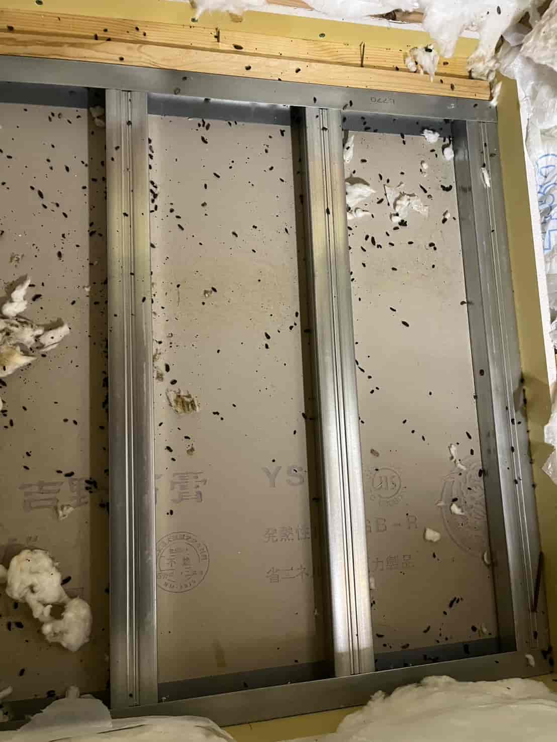 さいたま市見沼区｜築10年の「新しさ」を過信しない。強靭な歯でこじ開けられた侵入口を板金封鎖し、天井裏の異臭と火災リスクを断った精密防除録