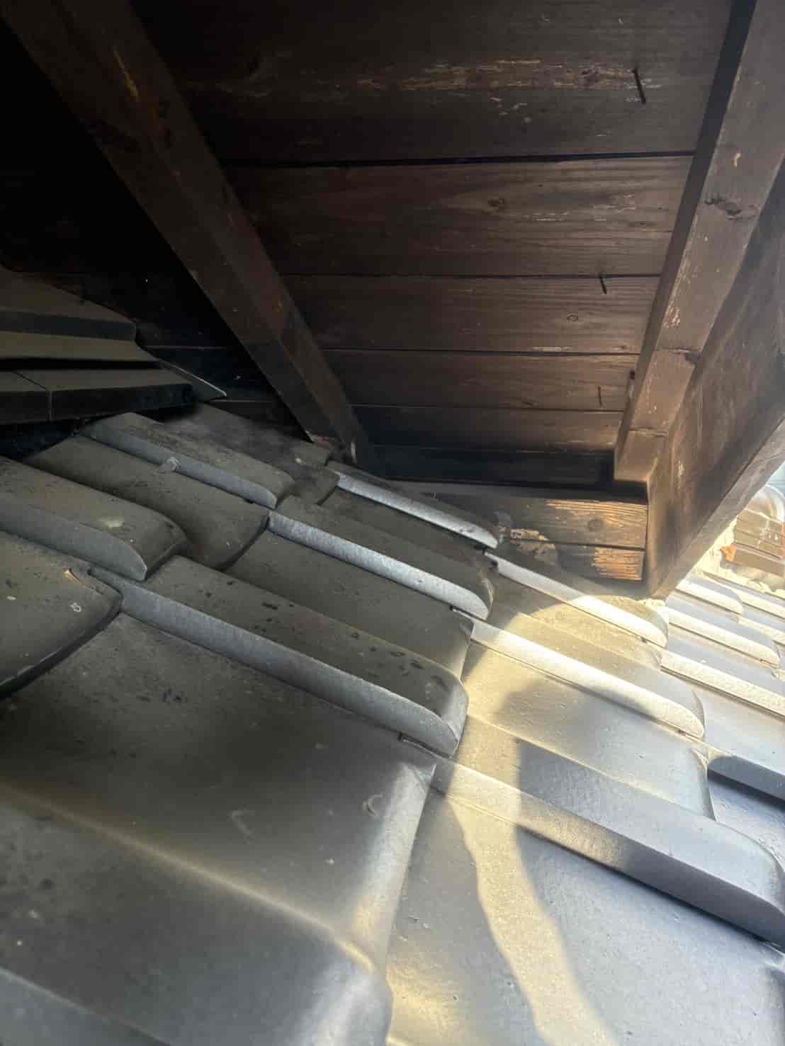 熊本市南区｜大屋根「入り母屋」の構造的死角を狙う侵入者を撃退。高所作業の専門技術で死角を封鎖し、住まいの安全を奪還した防除録