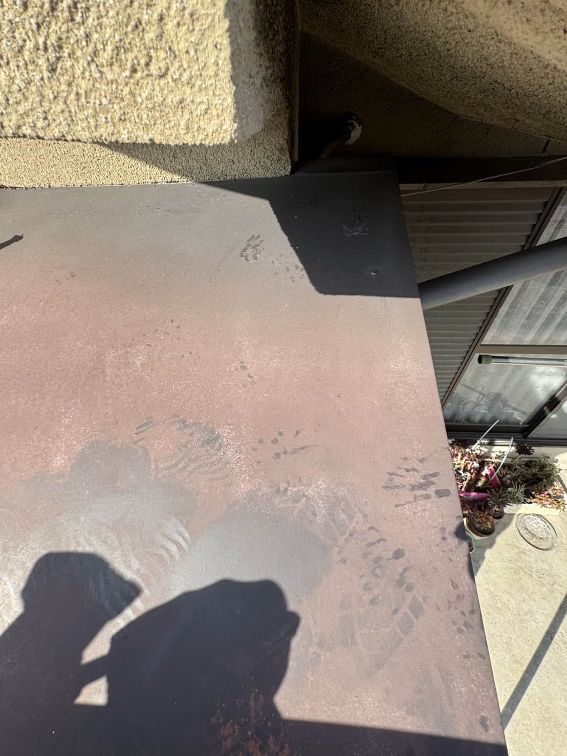 愛知県一宮市｜ネズミ再発への「執念の再調査」。わずかな見落としも許さない精密封鎖と、プロの責任を果たすアフターフォロー録