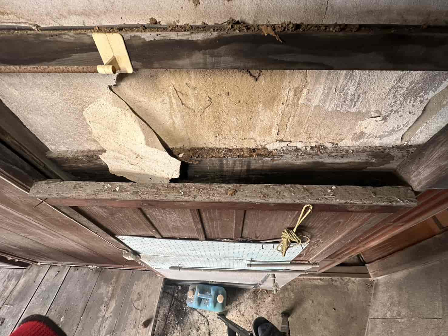 奈良県三郷町｜空き家を狙う「見えない定住者」。室内・外部の全侵入経路を特定し、耐久資材による精密封鎖で資産価値を守り抜いた防衛録