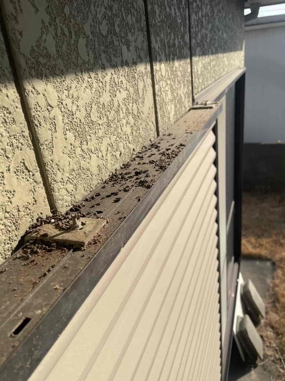 徳島県小松島市｜室外機に降り注ぐコウモリの糞害。幕板の隙間に潜む「縄張りの執着」を断つ精密封鎖と衛生リセット録