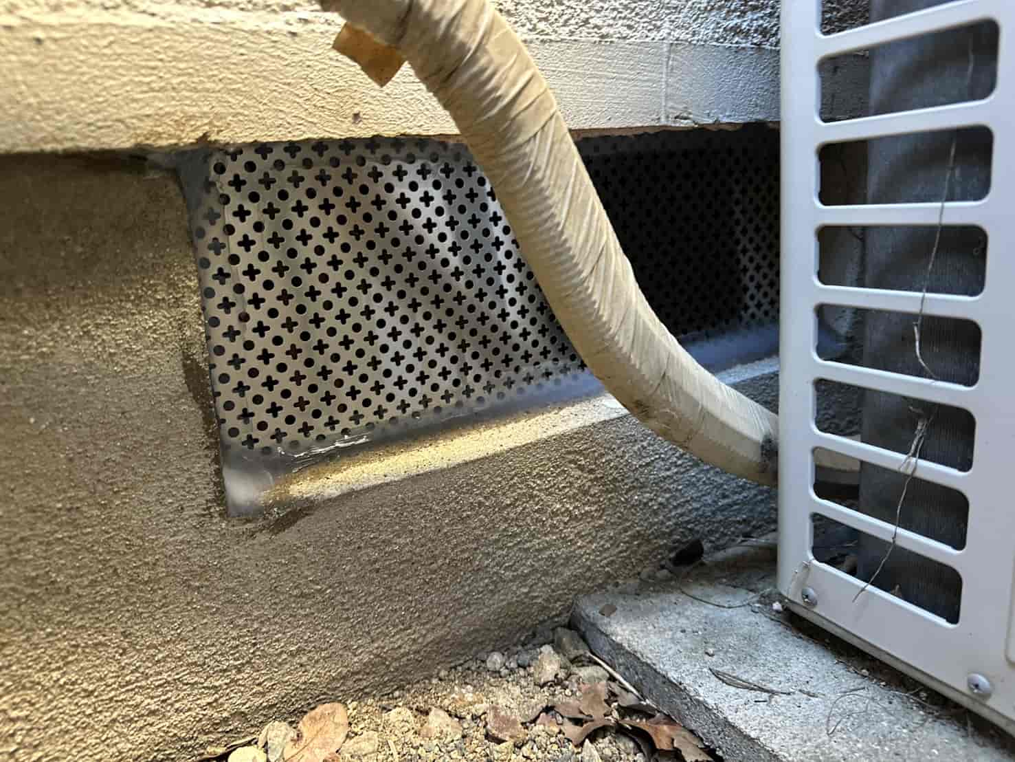 兵庫県宝塚市｜1階から響く「謎の物音」を断つ。点検口3箇所新設と精密穴塞ぎで、侵入リスクを根絶した戦略的防除録