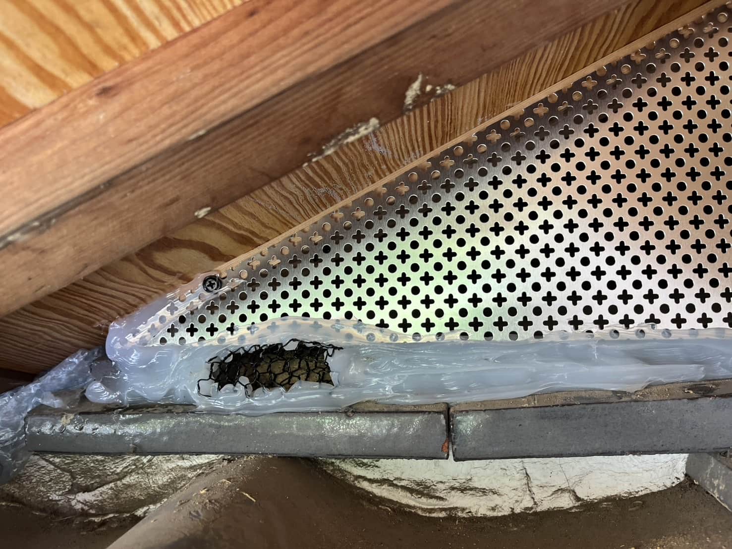 滋賀県湖南市｜玄関天井から滴る「尿のシミ」を断つ。入母屋屋根の構造的弱点を突き止めた精密封鎖と衛生リセット録