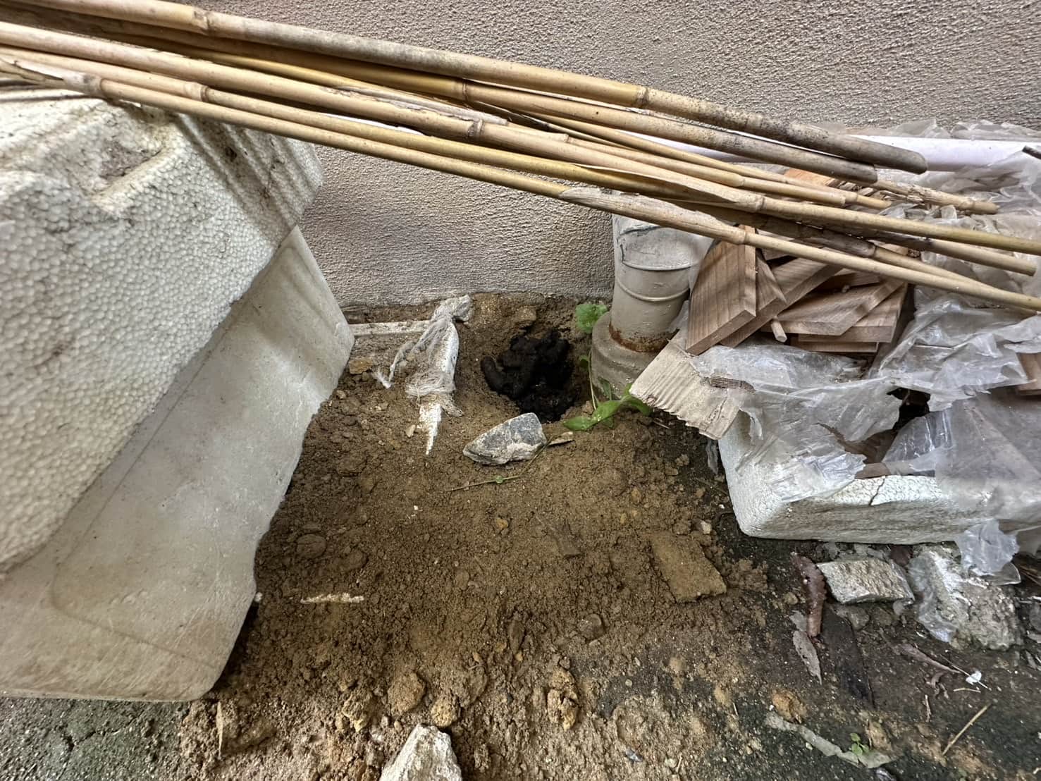 京都府宇治市｜犬走りに掘られた「穴」と「溜めフン」の衝撃。アライグマ・ハクビシンによる汚染をプロの洗浄・消毒でリセットした衛生防除録