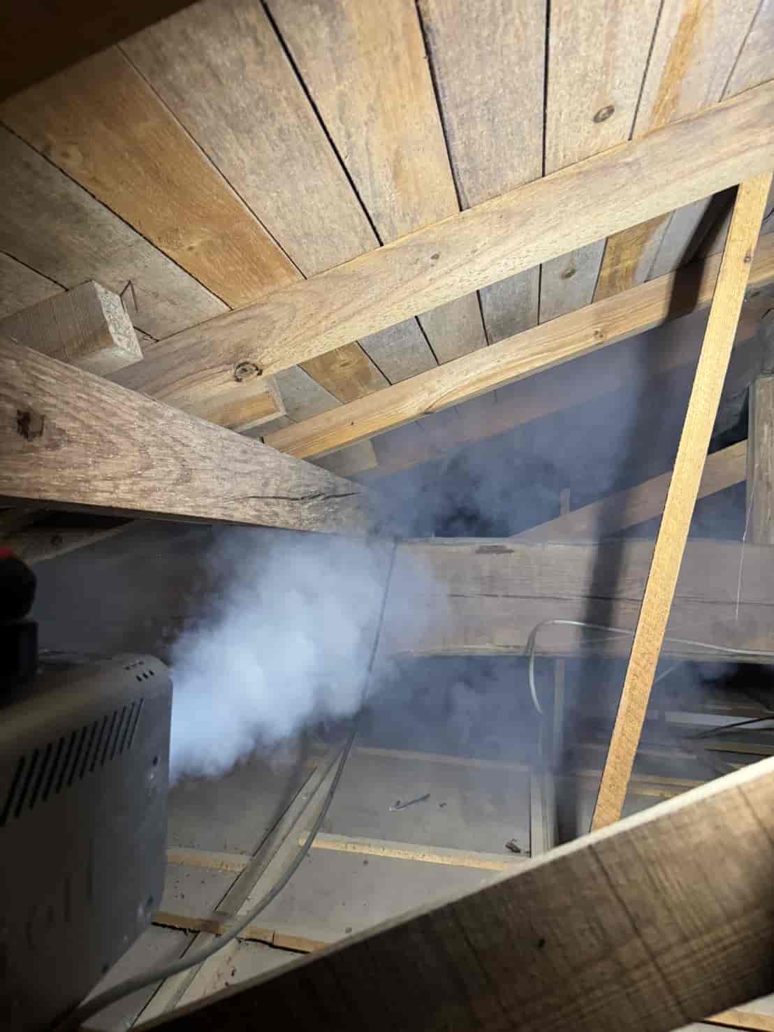島根県雲南市｜瓦に残る足跡が告げる「高所からの侵入」。燻煙追い出しと精密封鎖で天井裏の平穏を取り戻した駆除録