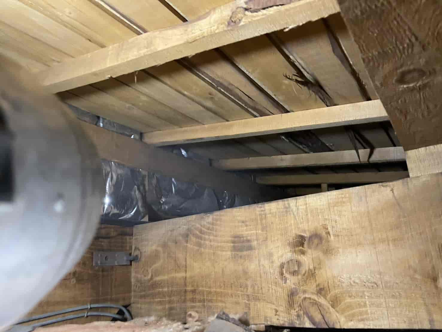 東京都中野区｜出窓の隙間が招いた「クマネズミの定着」。精密板金封鎖と衛生リセットで、静寂と清潔を取り戻した駆除録