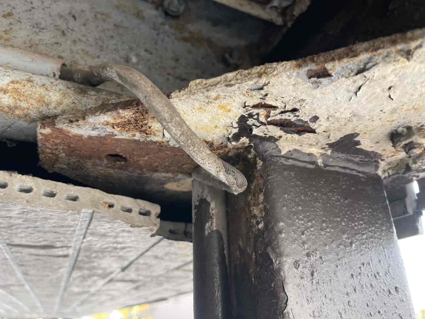 埼玉県所沢市｜住居と店舗を繋ぐ「鼠の回廊」。ノミ・ダニの二次被害を断つ衛生消毒と、板金封鎖による全階層防衛録