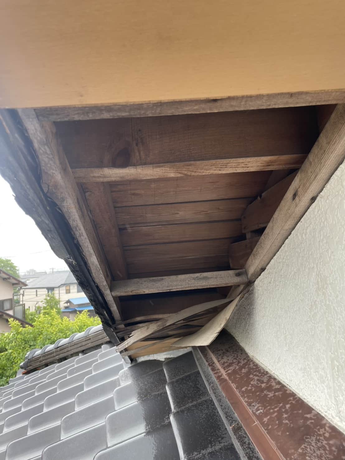 市原市｜沈黙の侵略者を阻む「軒天」の要塞化。構造的弱点を断つ建築的再生