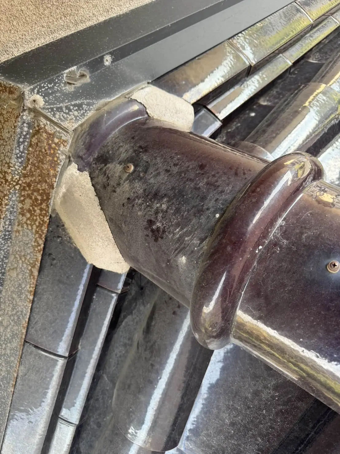 大田市久手町｜天井裏を駆ける足音の正体。イタチを「追放」し、建築の力で封鎖する。