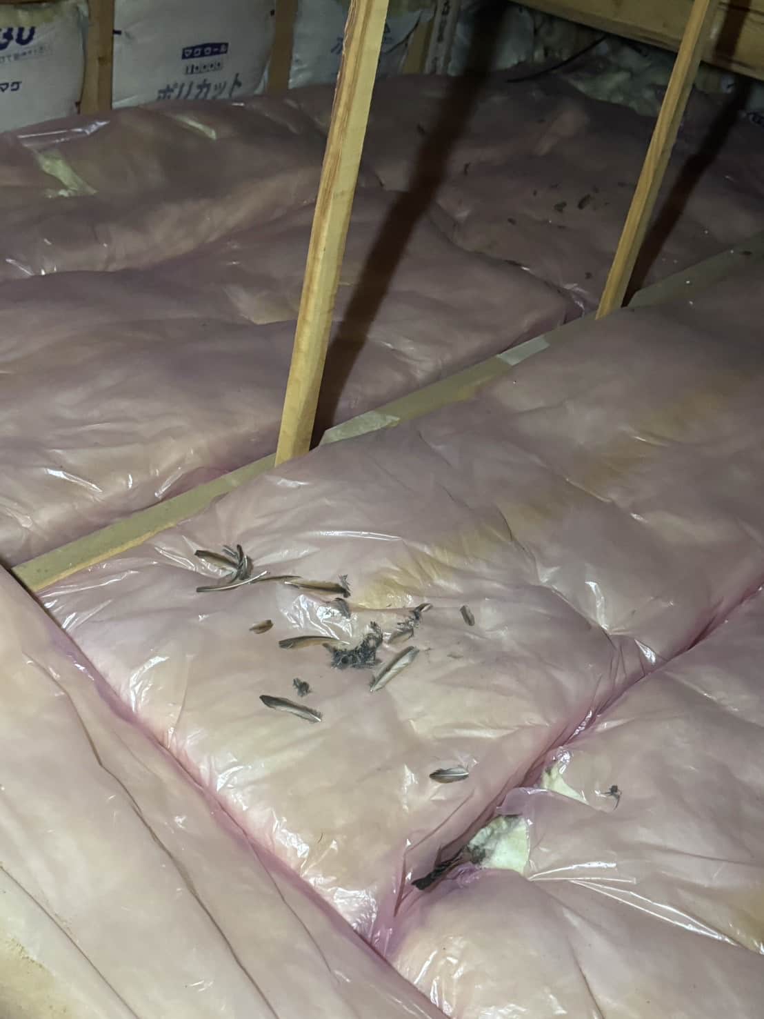 出雲市大社町｜イタチ被害による害獣対策工事