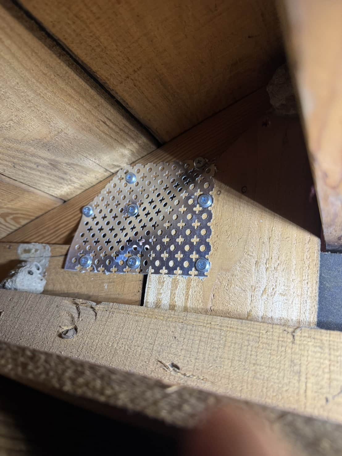 島根県出雲市｜イタチによる屋根裏侵入の完全封鎖